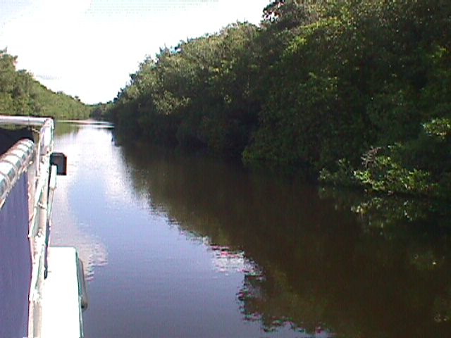 buttonwoodcanal.jpg